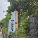전통이 담긴 술 한 잔, 김희숙 명인과의 따뜻한 만남 (제주 고소리술 체험 후기)
