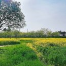 세도푸드 이미지