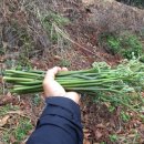 승훈농장 이미지