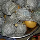 서대산농장 이미지