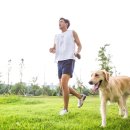 강아지산책 이미지