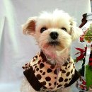 양재수선(중급) 이미지