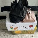 성포충무김밥 | 명절주간 이모저모