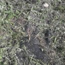 현재농장 이미지