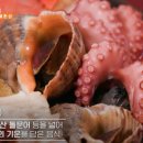 남해-163 이미지