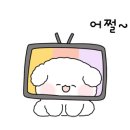 나랑애견유치원 이미지