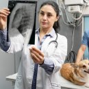 더오래 동물병원 이미지