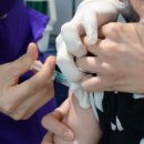 세영팰리스 이미지