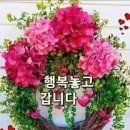 상평 이미지