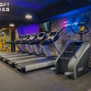 시너지짐 이미지