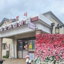 묘천농장 | 곡성 아이랑 가볼만한곳 섬진강기차마을 동물먹이주기 요술랜드체험관 후기