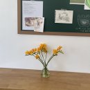 플랫슬로프 이미지