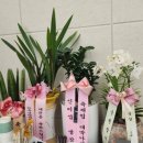 탕정검도관 이미지