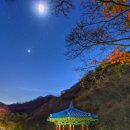 리베라 | 11월 | 정읍 내장산 우화정 &amp; 단풍터널