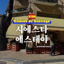 포도원약국 | 산티아고 순례길 5일차 에스테야 도착! 물집 치료법 제대로 배우기