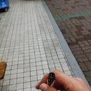 채널큐_신림로데오점 이미지