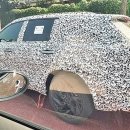 오로라 모터스 이미지