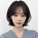 초지헤어라인
