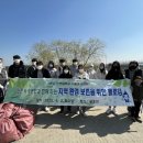 녹색환경연합