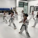 백호타이거즈태권도 이미지