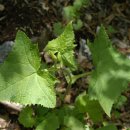 생태민박 이미지