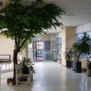 오산현대의원 이미지