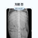가양동물의료센터 이미지