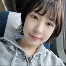 비단펫 | 궁디팡팡 캣페스타 2026 부산에서 대전까지 간 찐 내돈내산 후기, 추천 브랜드까지 보고 가세요!