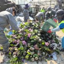 통영하우스 이미지