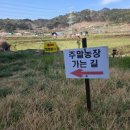 유의조농장 네이버블로그