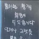 부광장식 | 2025년 3월 일상 모음.zip