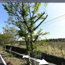 삼달교차로 4 이미지