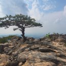 언덕위어린이집 | 관악산(팔봉능선-사당능선-파이프능선-낙성대능선) 산행후기