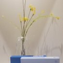 골드제이의원 이미지