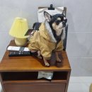 낄낄아놀자 이미지