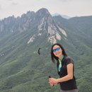 말코농장 이미지