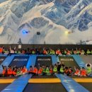 용인대아라태권도장 이미지