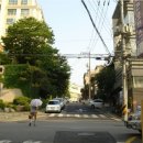 강남-245 이미지