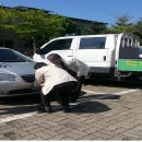 부안읍사무소 이미지