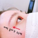 더썹 - 목포시 | 노원구 예쁜 속눈썹 펌 맛집 더썹 노원점 방문 후기