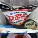 신리낚시터 | 좌대 낚시터 후기 제천 ‘신리 낚시터’ 내돈내산 후기