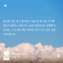 지금이 가장 젊은날 네이버블로그
