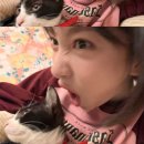 (주)예승