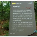 모봉길 이미지