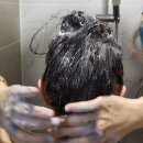 제이숲 블랙제이 클리닉샴푸 내돈내산후기