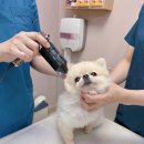 암사동물병원 이미지