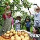 한아름축산 이미지