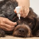 북광주동물약국 이미지