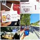 고려대학교 | 2026 4.26 고려대학교 입학설명회 참석 후기