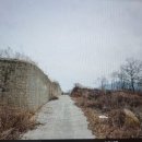 나무와숲어린이집 이미지